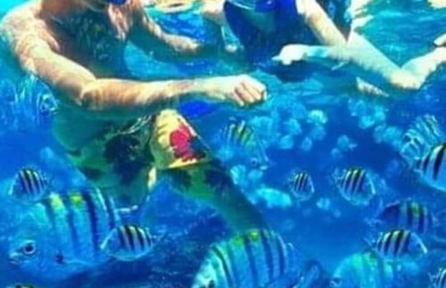 Maha Nusa Menjangan - Foto 33