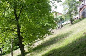 Reddish Deer House ::: Cadore Dolomiti - Foto 14