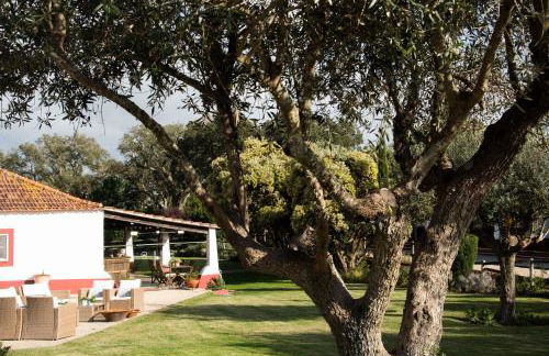 Herdade das Barradas da Serra - Foto 9