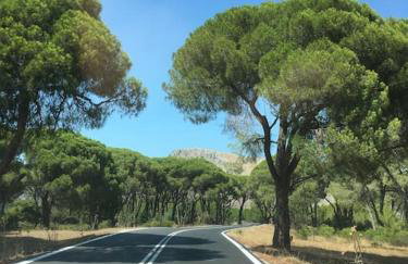 Villa Anastasia! in STROFYLIA pine FOREST!!! - Foto 3