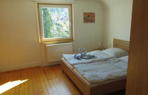 Villa Fink - Foto 15