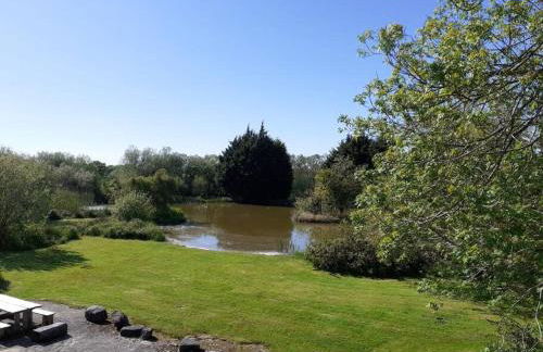 Rhedyn - Cosy Fishing Lodge Near Aberaeron - Photo 47