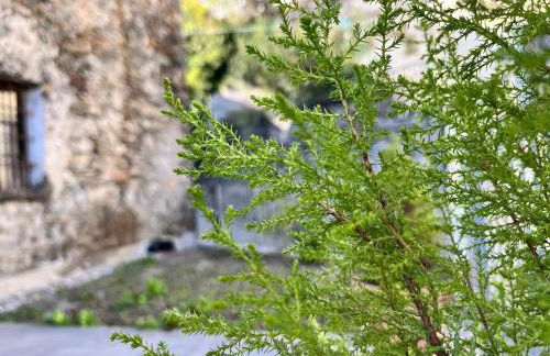 Die Weinrose - Natura Lago Monti - Photo 19