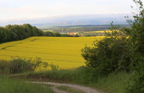 Ferienwohnung Osterwieck Mittelstraße 4 - Foto 34