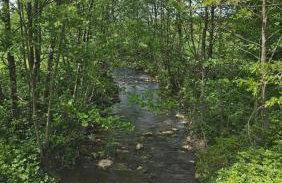 Srce Petrove gore - Foto 22