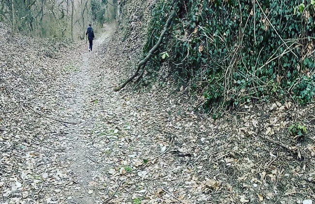 Holiday Home Paunovaca - Foto 32