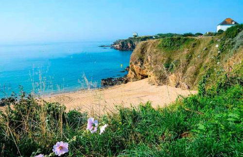 Le Clos des Mouettes - Face à la mer - Wifi Internet Haut Débit - Terrasse - 2 places de stationnement privatives - Foto 27