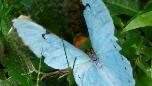 Chalés Alcantilado - Morada Sol e Lua - Photo 5