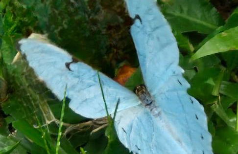 Chalés Alcantilado - Morada Sol e Lua - Photo 5