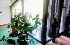 Casa Cristina - Photo 54