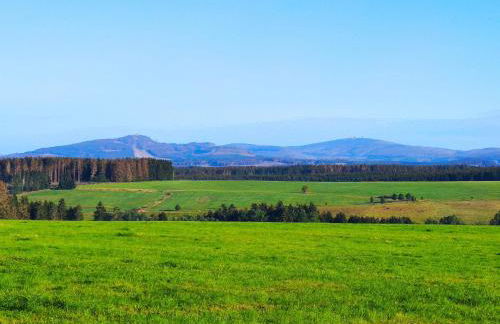 Ferienhaus Blaue Blume mit 11 kW Ladestation, Kamin, Terrasse, eingezäuntem Garten, Sauna, WLAN, Netflix, 2 Hunde willkommen! - Foto 68