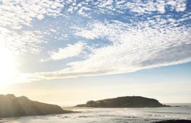 Cosy Beachside Cottage 100m from Challaborough Beach - Foto 29