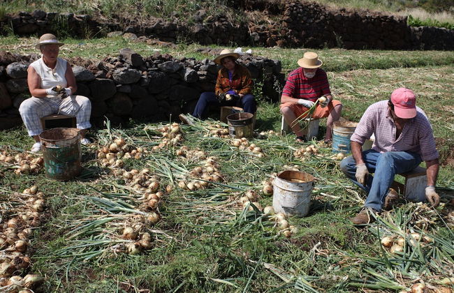 Caniço Bay Club - Foto 46