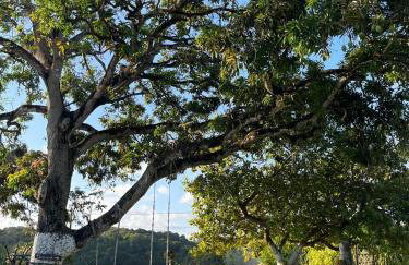 Eco Fiori - Casa 77 - Foto 29