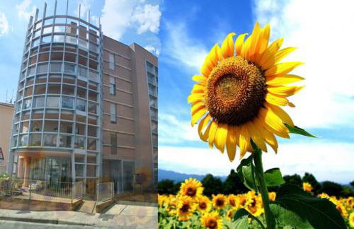 Casa dei girasoli - Foto 1