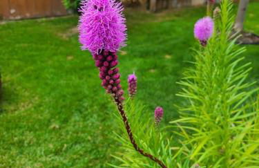 Luxury DT Cottage - Free Parking - Self Check-In - Foto 19