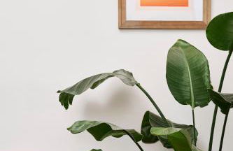 Poets Place Design Apartment in Kreuzberg - Foto 44