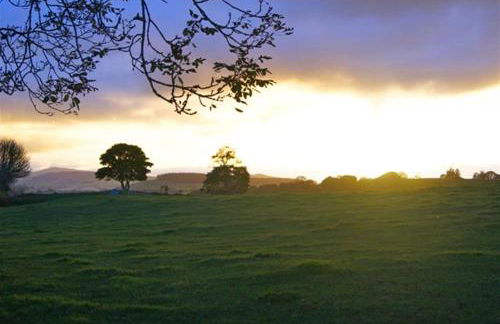 1 Bed in Corwen oc-fl010 - Photo 18