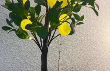 Super Menton Bord Mer - Foto 27