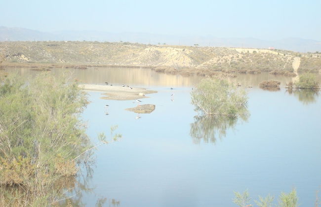 Charming Vacation Rental in Vera Spain Ideal Retreat for Families and Pet Lover - Foto 24