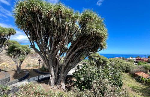 Vivienda Vacacional El Zumacal - Foto 18