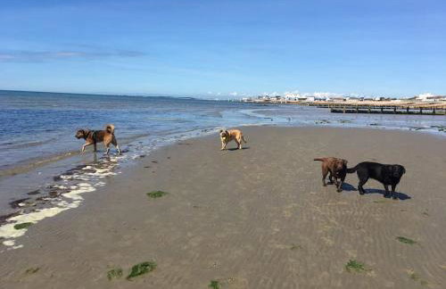 Coastal Haven - Foto 41