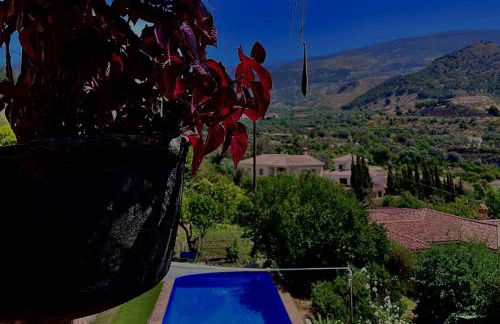 La Kamareta de Chite - Foto 32