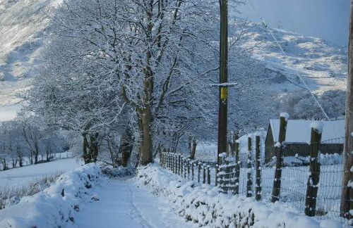 Cabin in the hills near Dolgellau - Foto 24