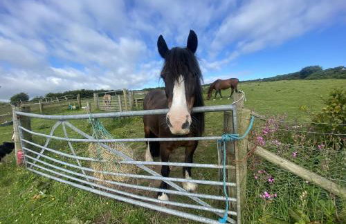 Greenley Croft Glamping by Wigwam - Foto 11