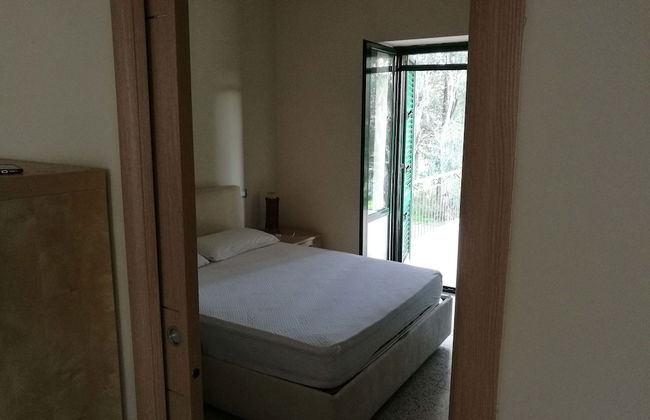 Agriturismo La Petrosa - Foto 4