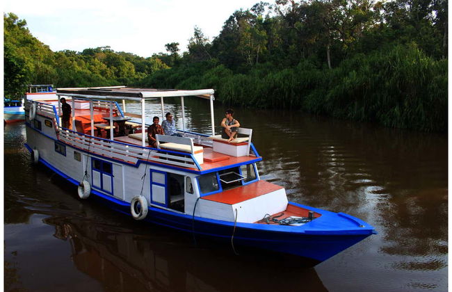 Crucero privado por Borneo con avistamiento de orangutanes en barco superior - Foto 4