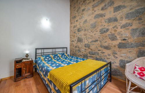 Horta Do Zé Miguel - Foto 30