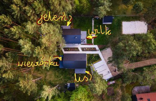 Masz Ci Las - Photo 9