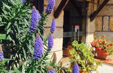 Casa Máximo - Foto 35