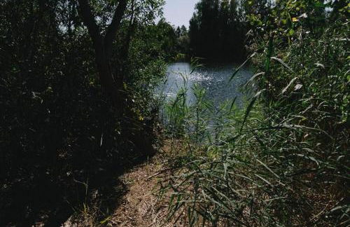 Ferienwohnung Verena Wunderlich - Foto 19