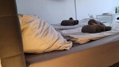 Berg Messe DG 1Zi, K,D,B Parkplatz, W-Lan, Homeoffice - Foto 3