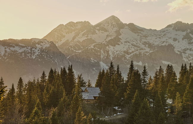 Koca Bistra - Velika planina - Foto 67