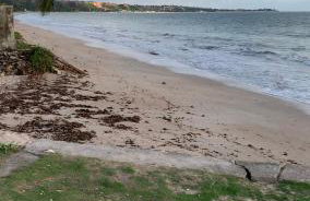 Casa de Praia Pitimbu - Foto 26