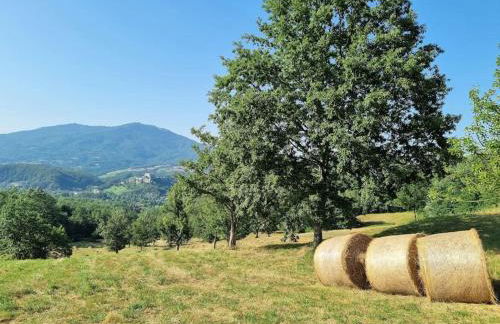 Oasi di pace nella Val di Taro - Photo 20