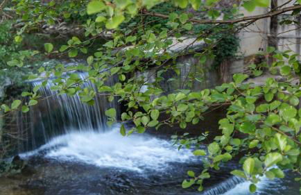 Agriturismo Casa Agricola Rossi Appartamenti in Casentino - Foto 65