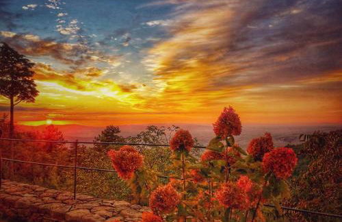 Grove Cottage: Immersed in nature & close to town - Photo 38