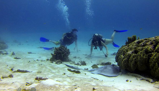 Cours court de plongée sans transfert - Photo 3