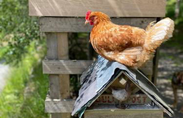 The Tabernacle, Design-led Converted Chapel with Hot Tub, Highland Perthshire - Foto 13