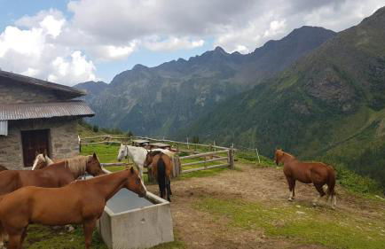 Cevedale-Valdisole - Foto 30