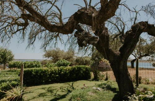 Monte Do Caneiro - Foto 10