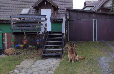 Apartament Buczyna - Foto 14