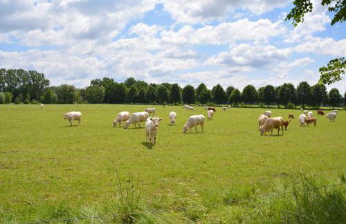 Ferienappartements "Landromantik" - Foto 65