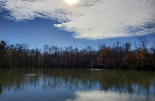 RVA Cottage Cozy & Spacious Near Downtown - Foto 49