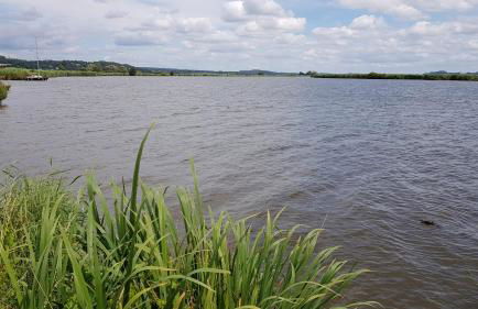 BELLE VISNONIA meublé de caractère Sud Morbihan - Foto 32