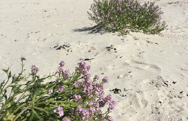 Uig Sands Rooms - Photo 22